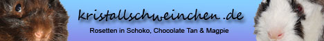 Banner2 Banner2