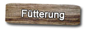 Fütterung Fütterung