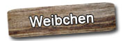 Weibchen