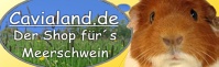 banner banner