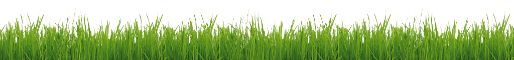 gras gras