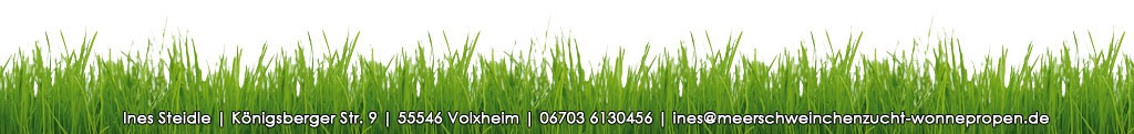 gras bearbeitet gras bearbeitet